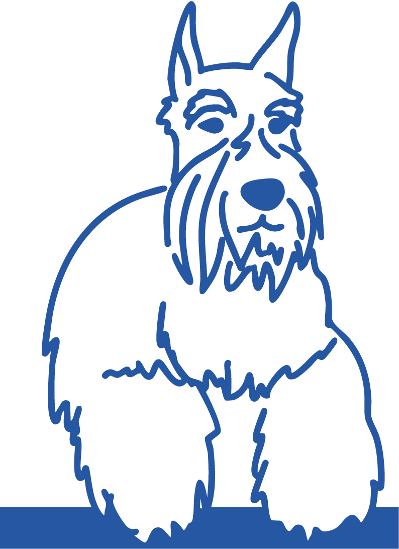 Alt Image