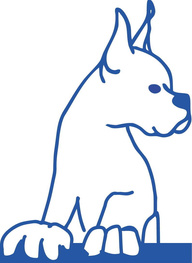 Alt Image